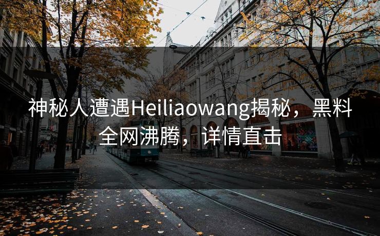 神秘人遭遇Heiliaowang揭秘,黑料全网沸腾,详情直击 第1张 神秘人遭遇Heiliaowang揭秘,黑料全网沸腾,详情直击 第1张