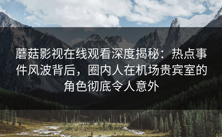 蘑菇影视在线观看深度揭秘：热点事件风波背后，圈内人在机场贵宾室的角色彻底令人意外