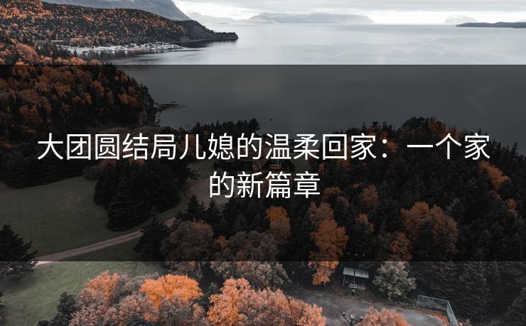 大团圆结局儿媳的温柔回家：一个家的新篇章